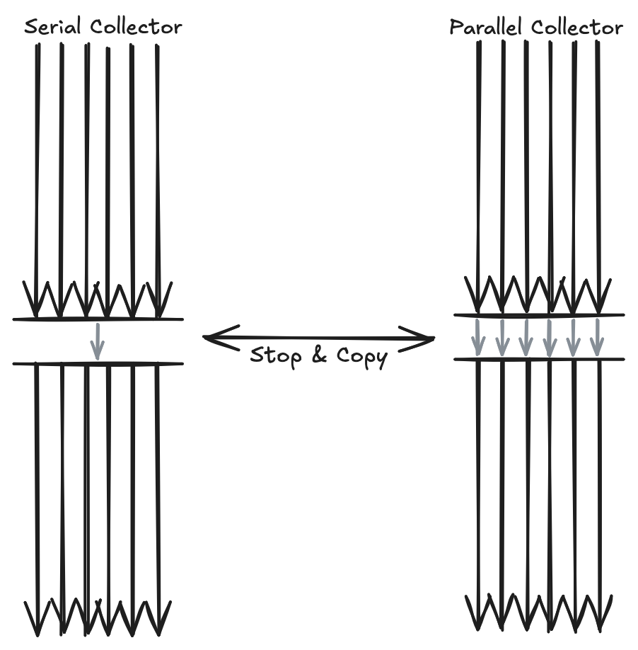 Parallel Collector - Young Generation